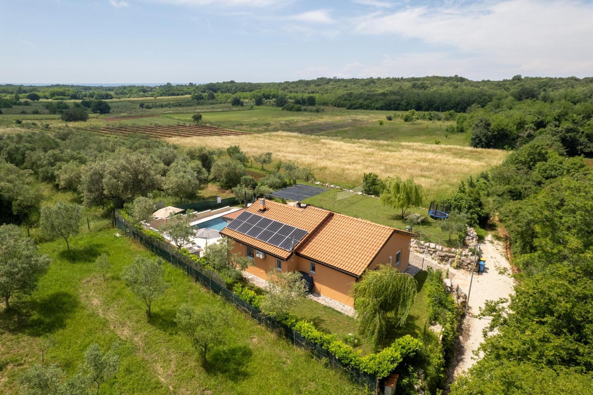 Villa Pendolina With Private Pool Buje Zewnętrze zdjęcie