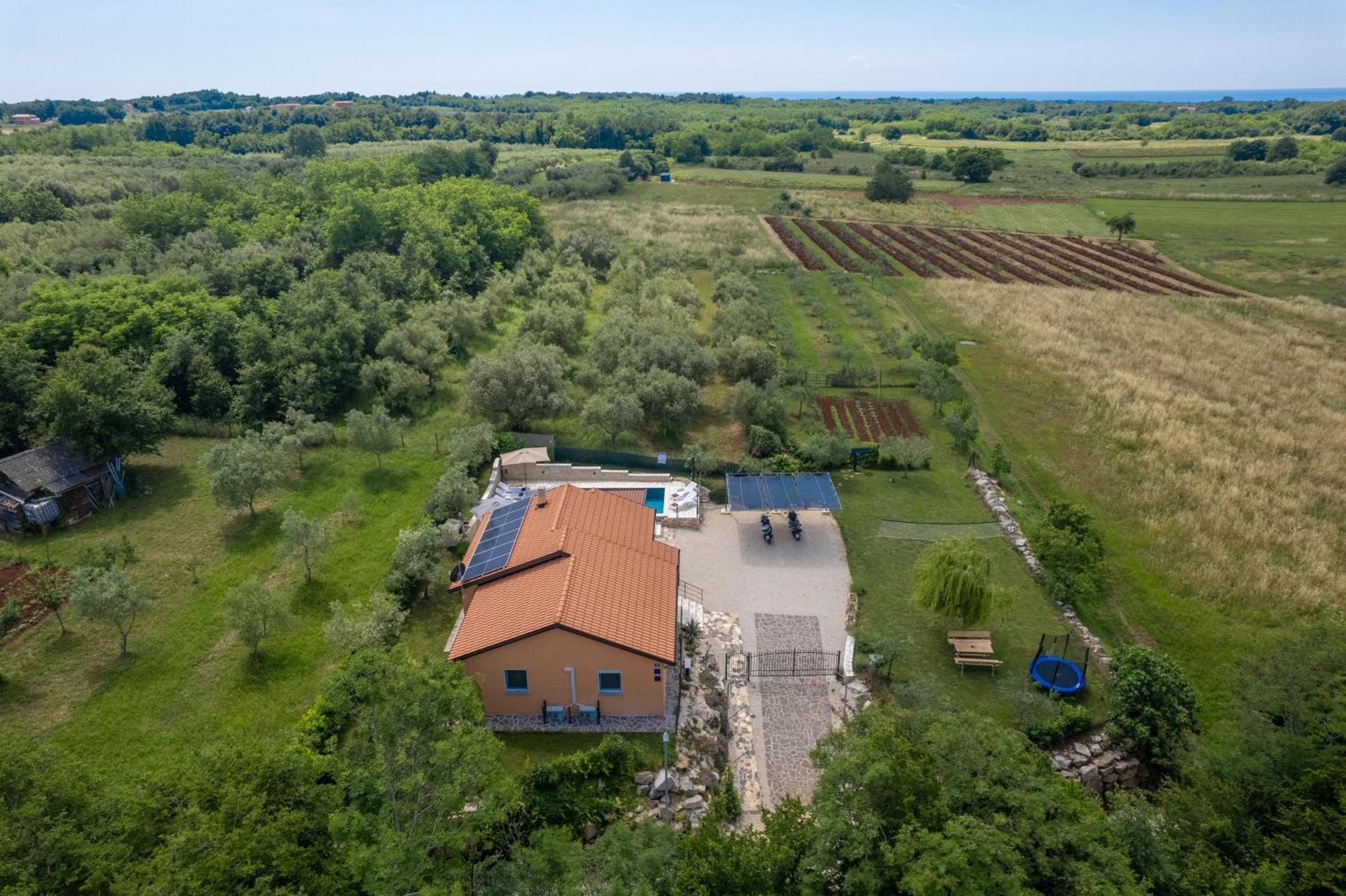 Villa Pendolina With Private Pool Buje Zewnętrze zdjęcie